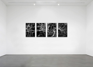 (#004), 2014, 4-teilig, 270 x 90 cm